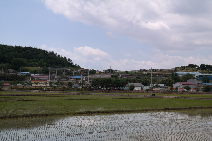 월호 마을 전경