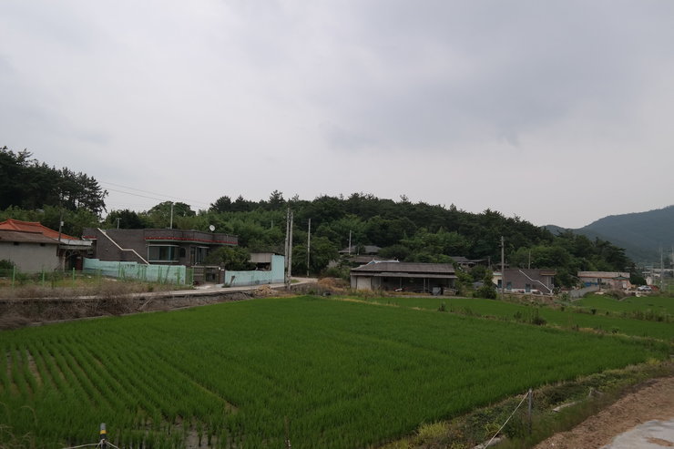 남안 마을 전경