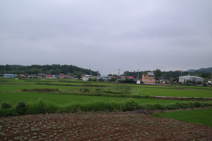 사마동 마을 주변 밭 전경
