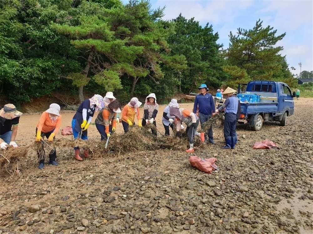 무안군 운남면 새마을협의회·부녀회, 해양쓰레기 수거에 구슬땀.jpg