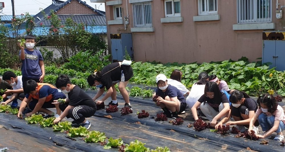 무안군, 학습능력 향상을 위한 원예활동 프로그램 추진 2