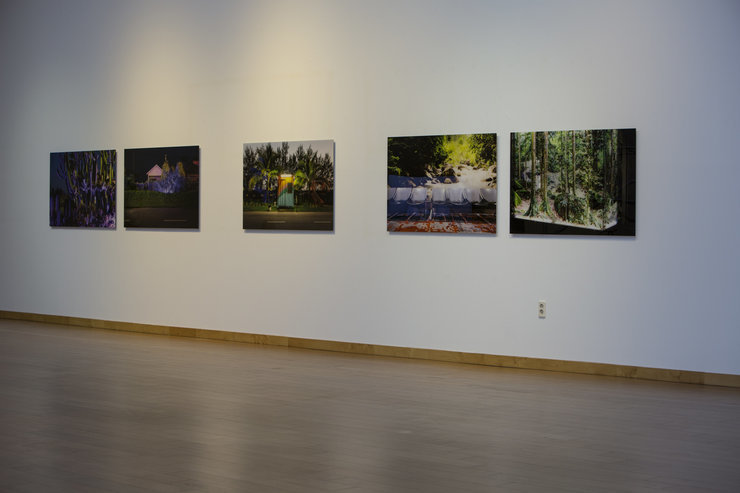 박세희작가 작품. 흰벽에 5개의 사진이 출력되고있다. 주로 자연풍경의 사진