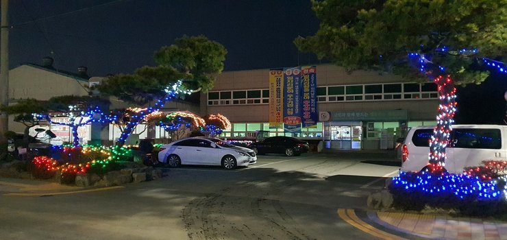 저녁에 찍은 사진으로 현수막 3개가 걸린 건물 앞에 조경으로 설치된 소나무 기둥에 파란색, 빨간색, 초록색 조명을 감아 불빛이 나고 있는 사진 