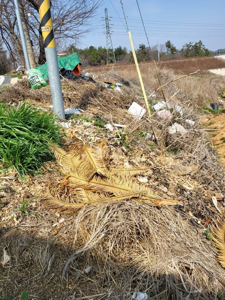 스치로폴 재활용쓰레기들이 바람에 날라다닙니다.