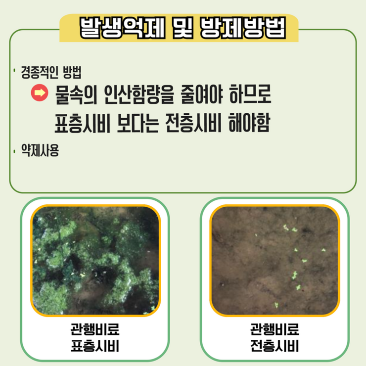 발생억제 및 방제방법