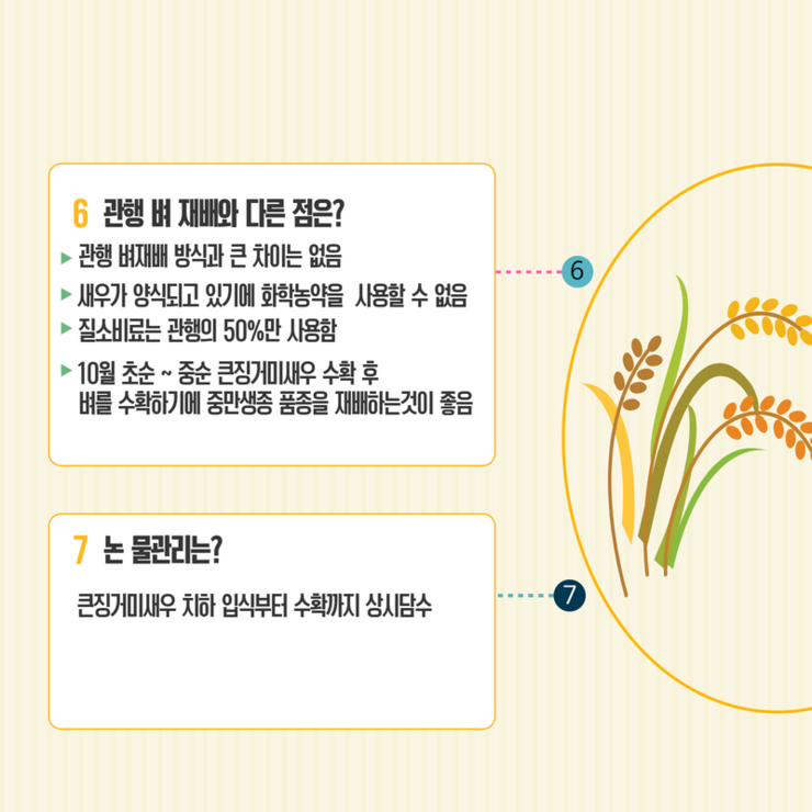 관행 벼 재배와 다른 점