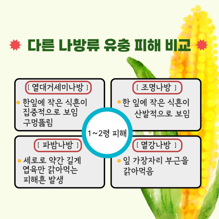 다른 나방류 유충 피해 비교