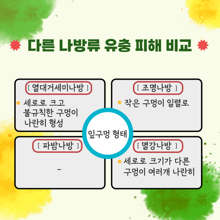 다른 나방류 유충 피해 비교