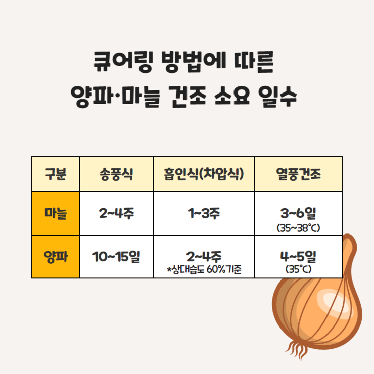 큐어링 방법에 따른 양파, 마늘 건조 소요 일수