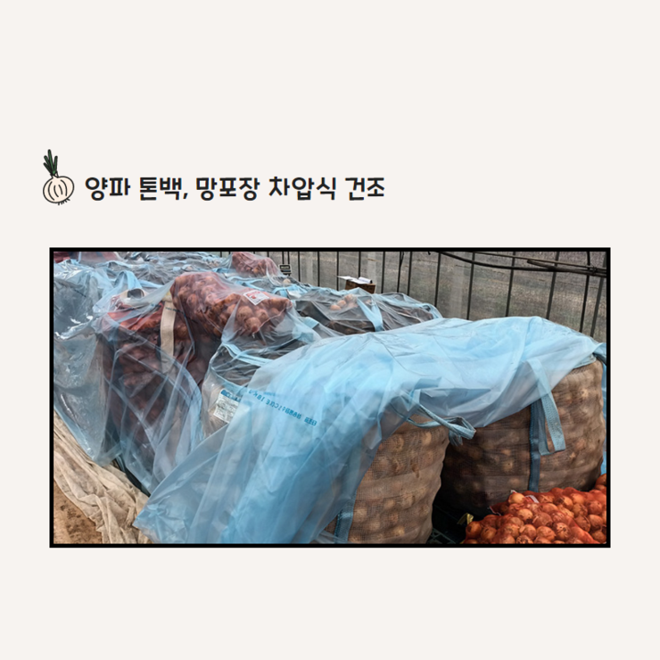 차압식 건조장치 이용 큐어링