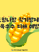 조명나방 적기방제로 옥수수 피해 예방