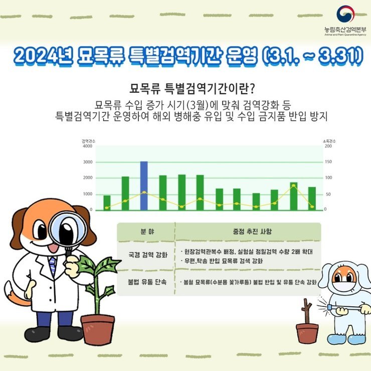 2024 봄철 수입 묘목류 특별검역 실시 안내