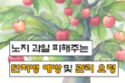 노지과일 피해주는 탄저병 예방 및 관리요령