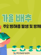 가을배추 주요 병해충 발생 및 방제요령