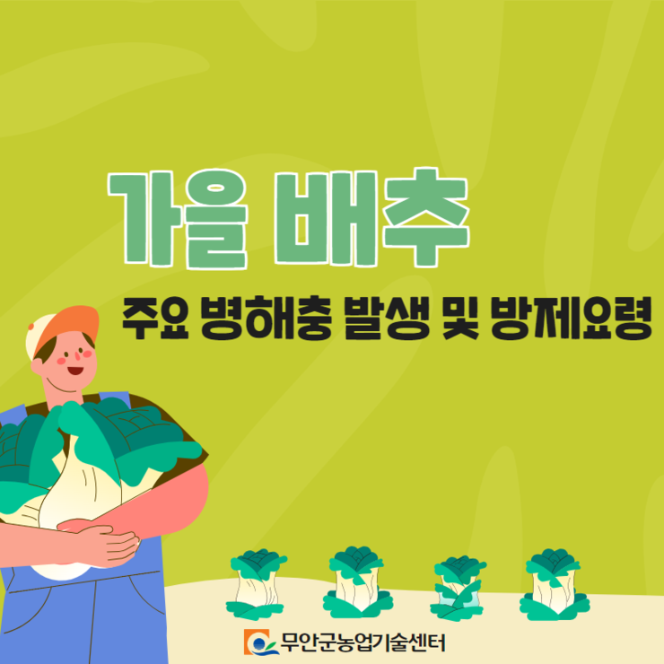 가을배추 주요 병해충 발생 및 방제요령