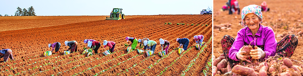 Red Clay District, Muan