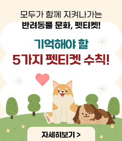 모두가 함께 지켜나가는 반려동물 문화, 펫티켓! 기억해야 할 5가지 펫티켓 수칙! 자세히보기